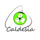 CALDESIA